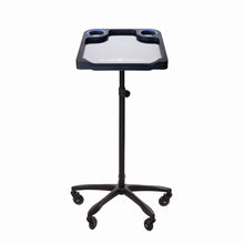 Load image into Gallery viewer, Braids &amp; Freckles • Magnetic Colorist Small Tray • Black
