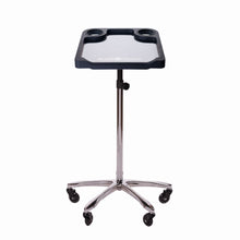 Load image into Gallery viewer, Braids &amp; Freckles • Magnetic Colorist Small Tray • Chrome
